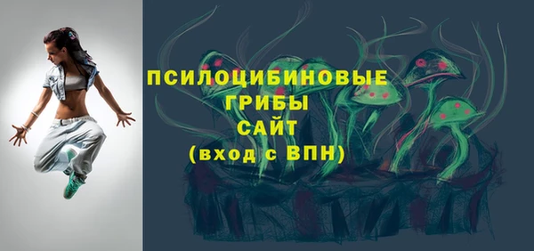 стафф Россошь