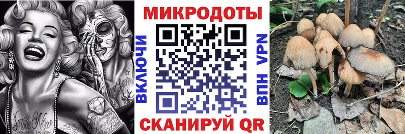 наркошоп  Вятские Поляны  Галлюциногенные грибы мухоморы 